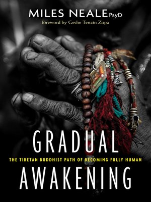 cover image of Gradual Awakening